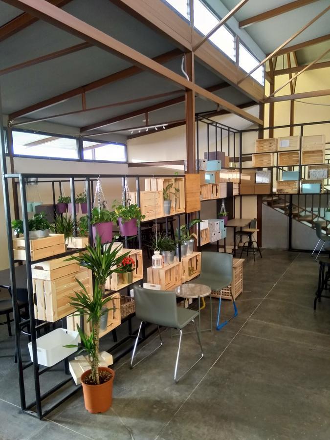 Ash Shafā Beit Al Wardヴィラ エクステリア 写真